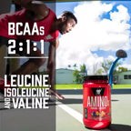 BSN AMINO X | Aminoácidos efervescentes para rendimiento (435 g)