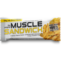 MUSCLE SANDWICH PROTEIN